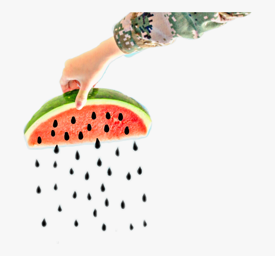 #hand #watermelon #seed #hand # - Seedless Fruit, Transparent Clipart