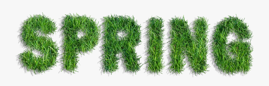 Schedule Atlanta Youth Lacrosse - Lawn, Transparent Clipart