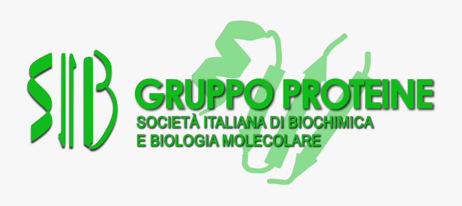 Sib Proteine Logo - Graphic Design, Transparent Clipart
