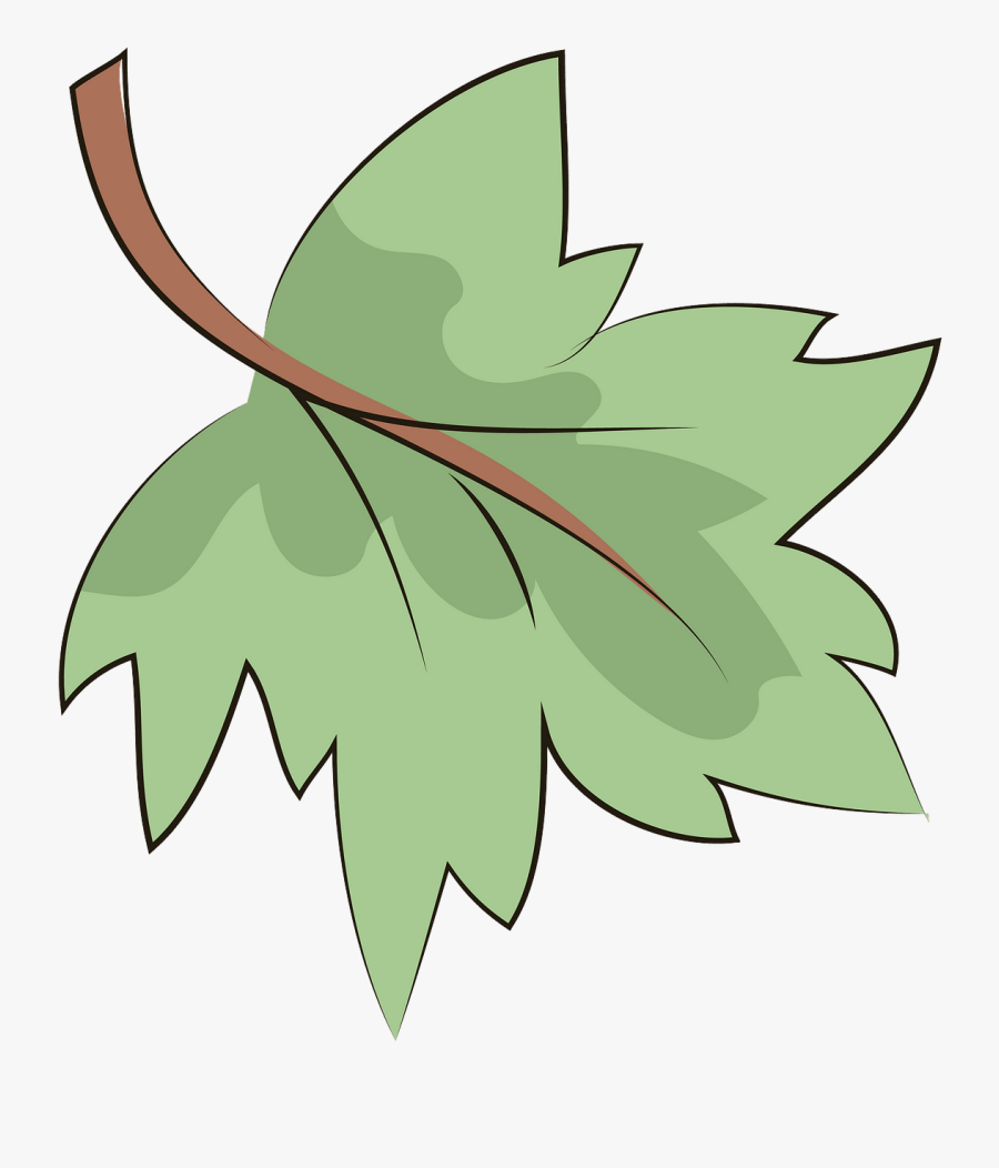 Maple Leaf, Transparent Clipart