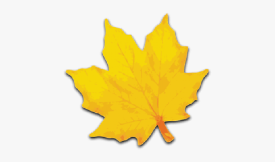 Maple Leaf Clipart - Maple Leaf Clip Art, Transparent Clipart