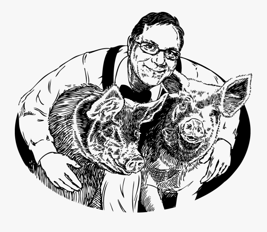 Pork Drawing Sausage - Illustration, Transparent Clipart