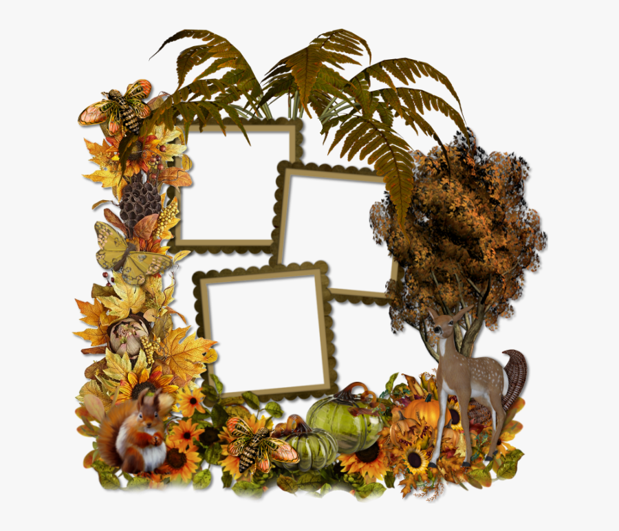 Tubes Cadres,png - Fir, Transparent Clipart