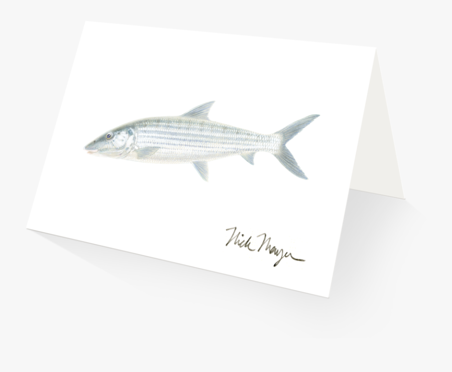 Transparent Bone Fish - Striper Bass, Transparent Clipart