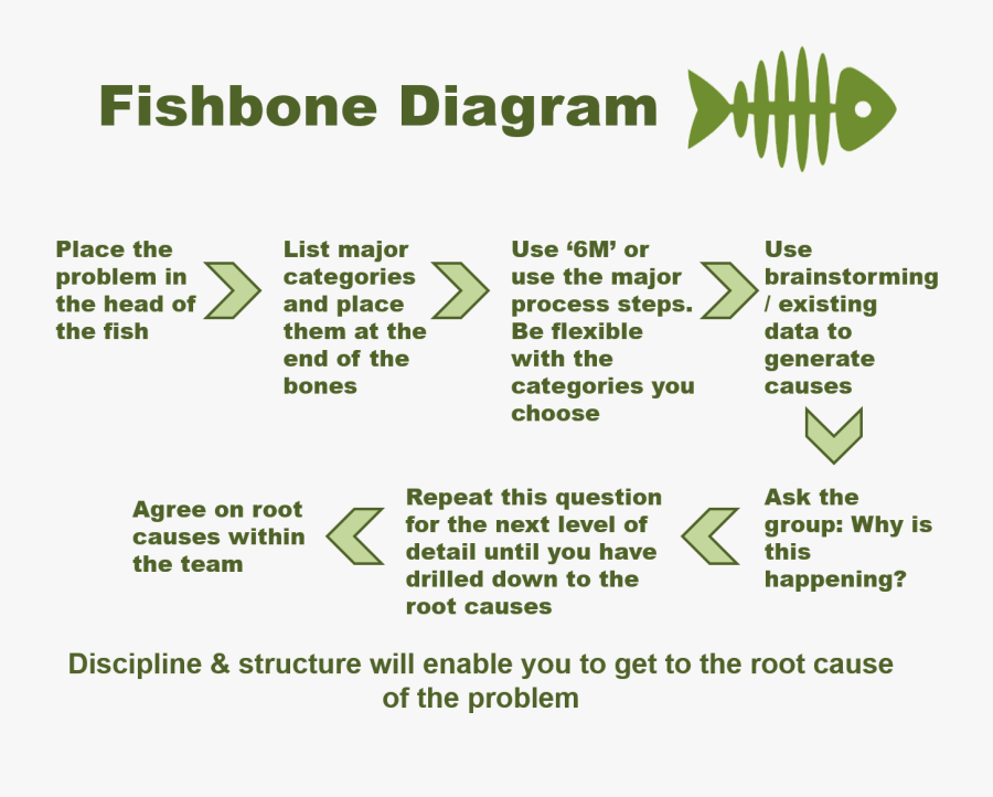 Transparent Fish Bone Png - Journalist, Transparent Clipart