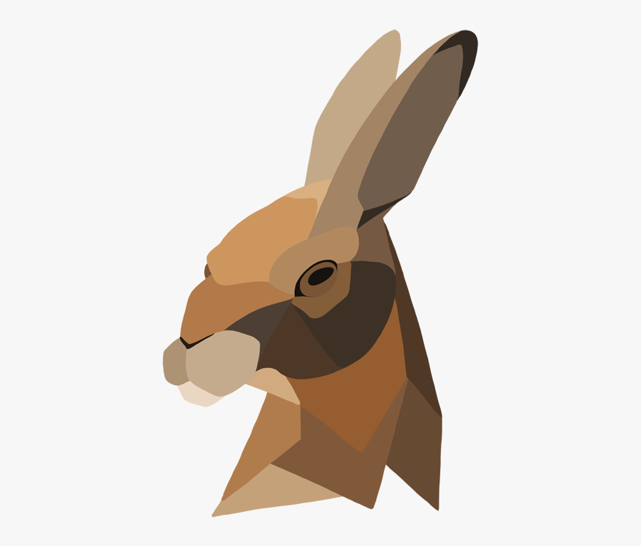 Hares Drawing Animal - Domestic Rabbit, Transparent Clipart
