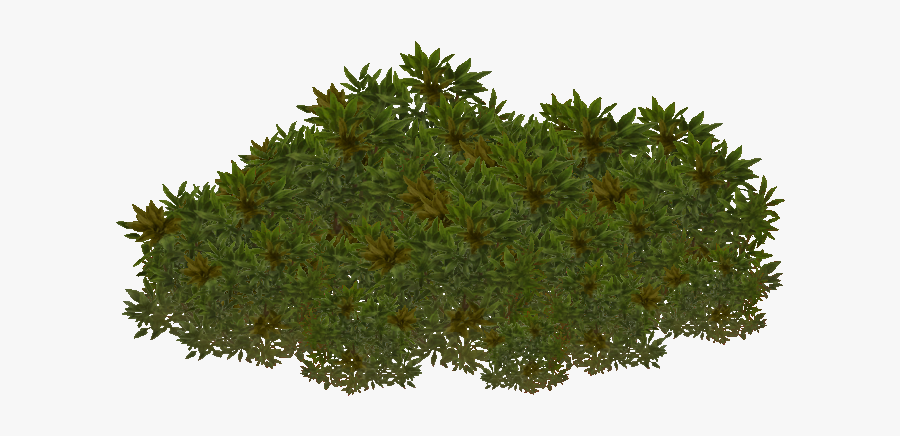 List Button - Antarctic Plants Png Transparent, Transparent Clipart