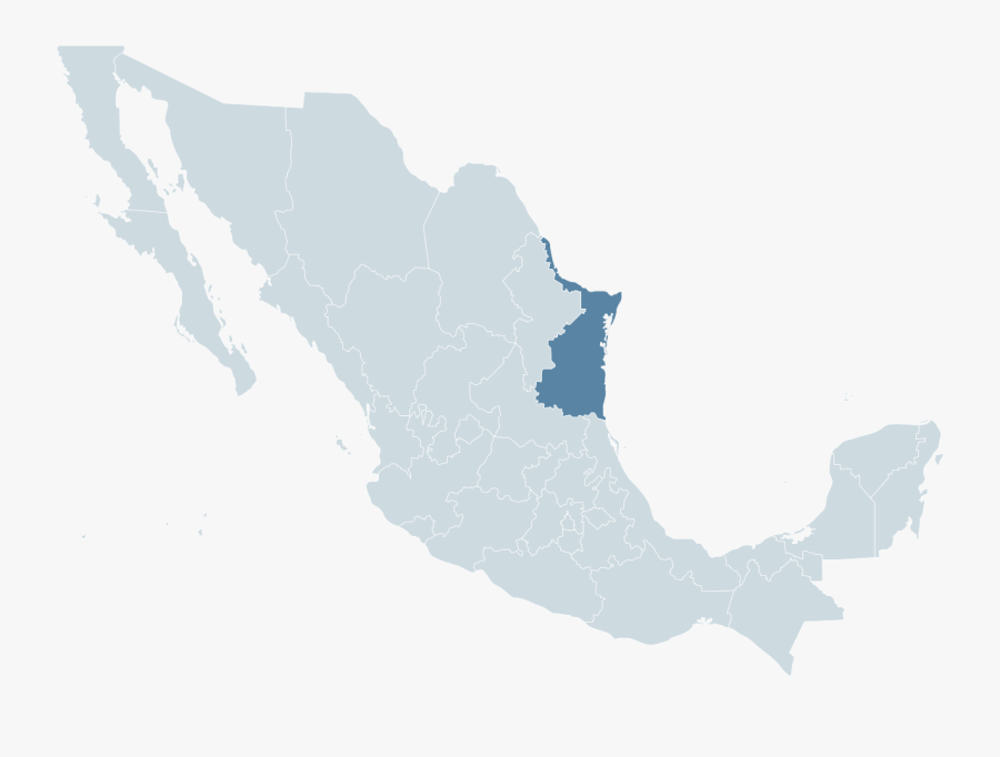 Simple Mexico Map Png - Ubicacion De Nuevo Leon, Transparent Clipart