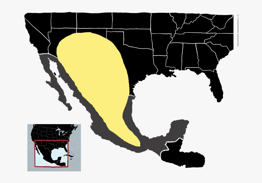 D3js Map Path, Transparent Clipart
