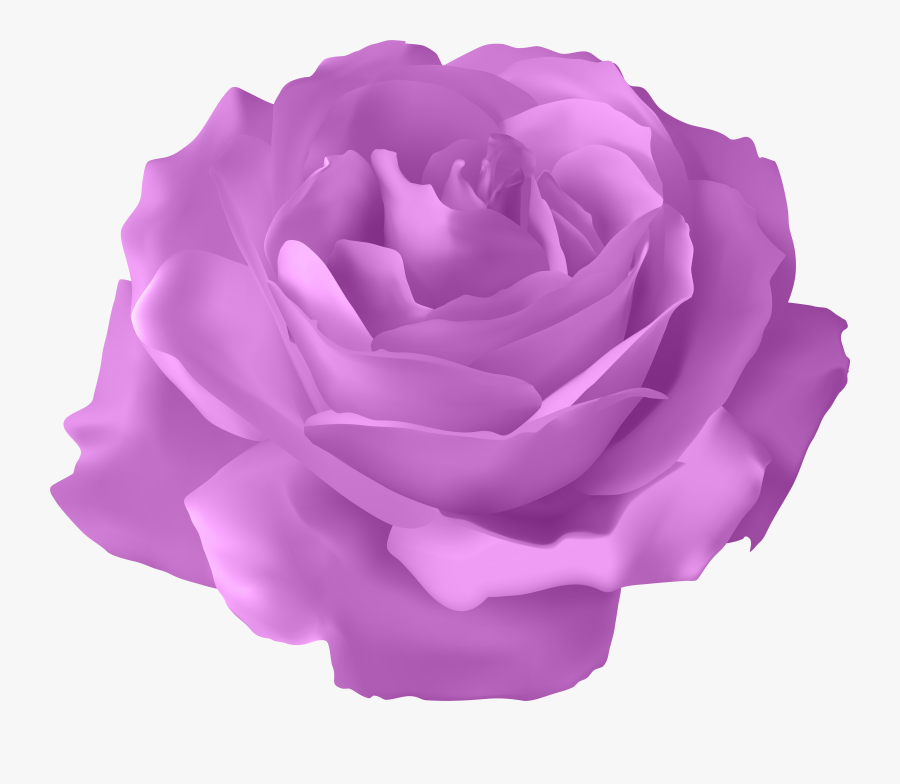 Blue Rose Flower, Transparent Clipart