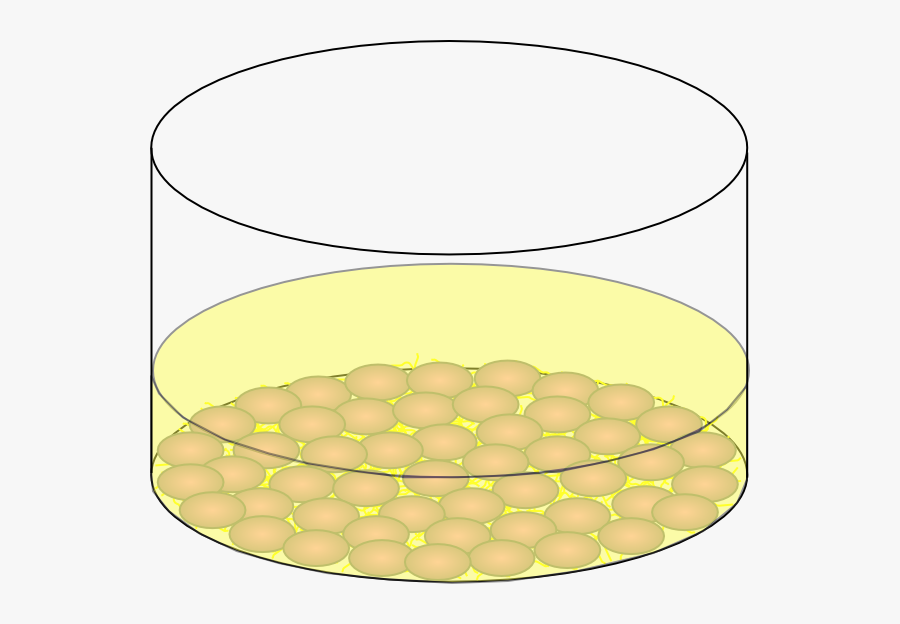 Circle, Transparent Clipart