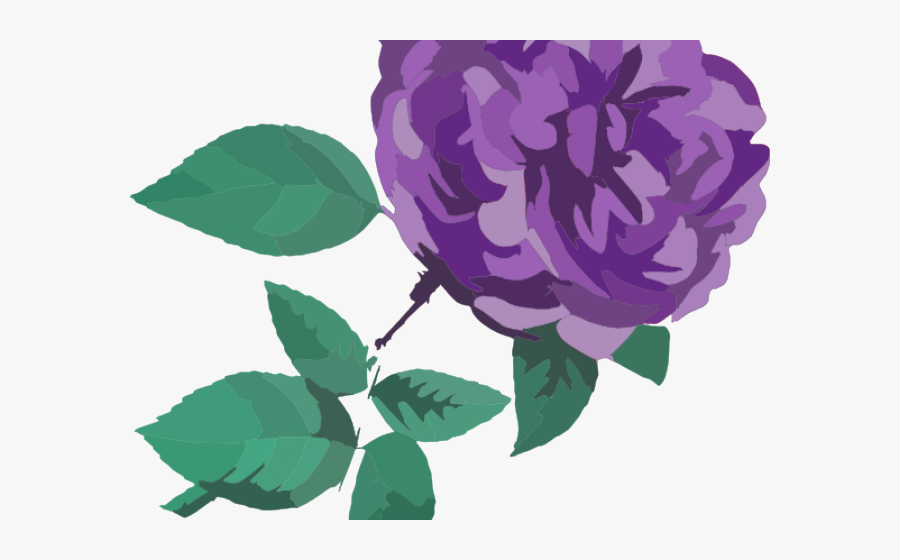 Purple Rose Clipart Transparent Background - Clip Art, Transparent Clipart