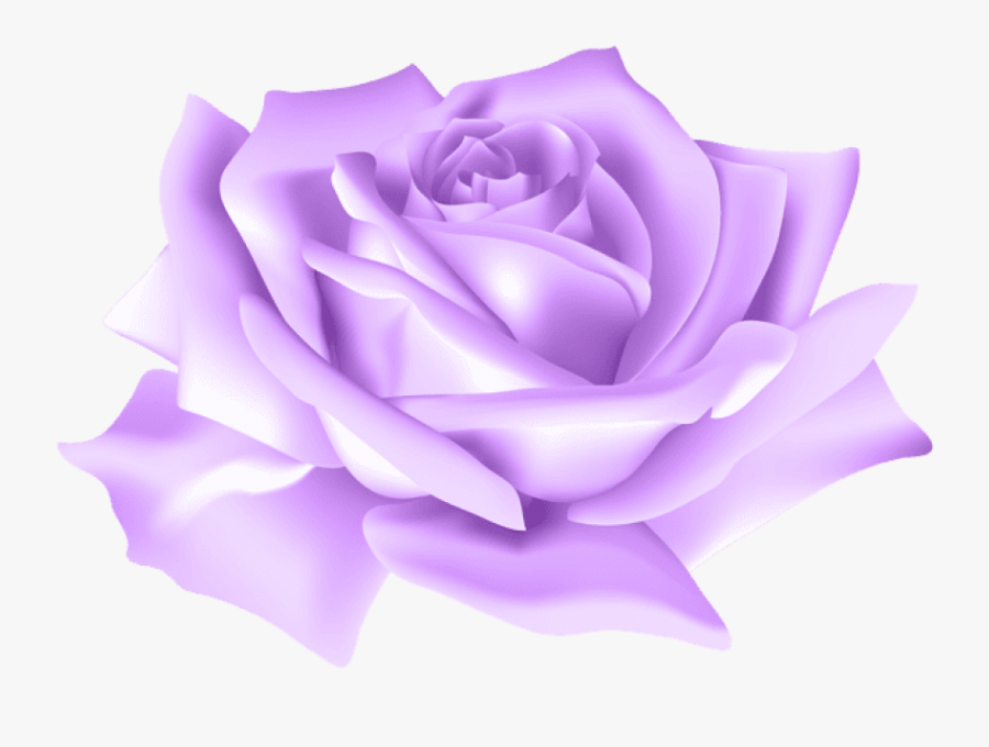 Purple Rose Png- - Blue Rose Png Transparent Background, Transparent Clipart