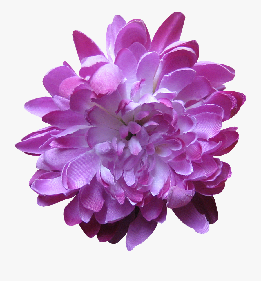 Clip Art Lavender Flower Lilac Violet - Dahlia, Transparent Clipart