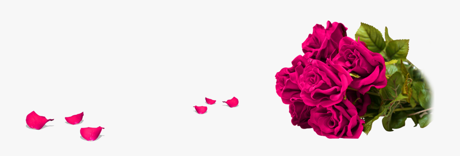 Clip Art Purple Rose Pedals - Rose, Transparent Clipart