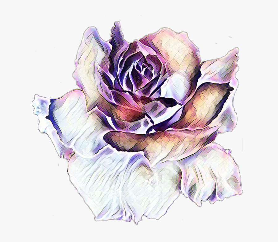 Purple Rose Clipart, Transparent Clipart