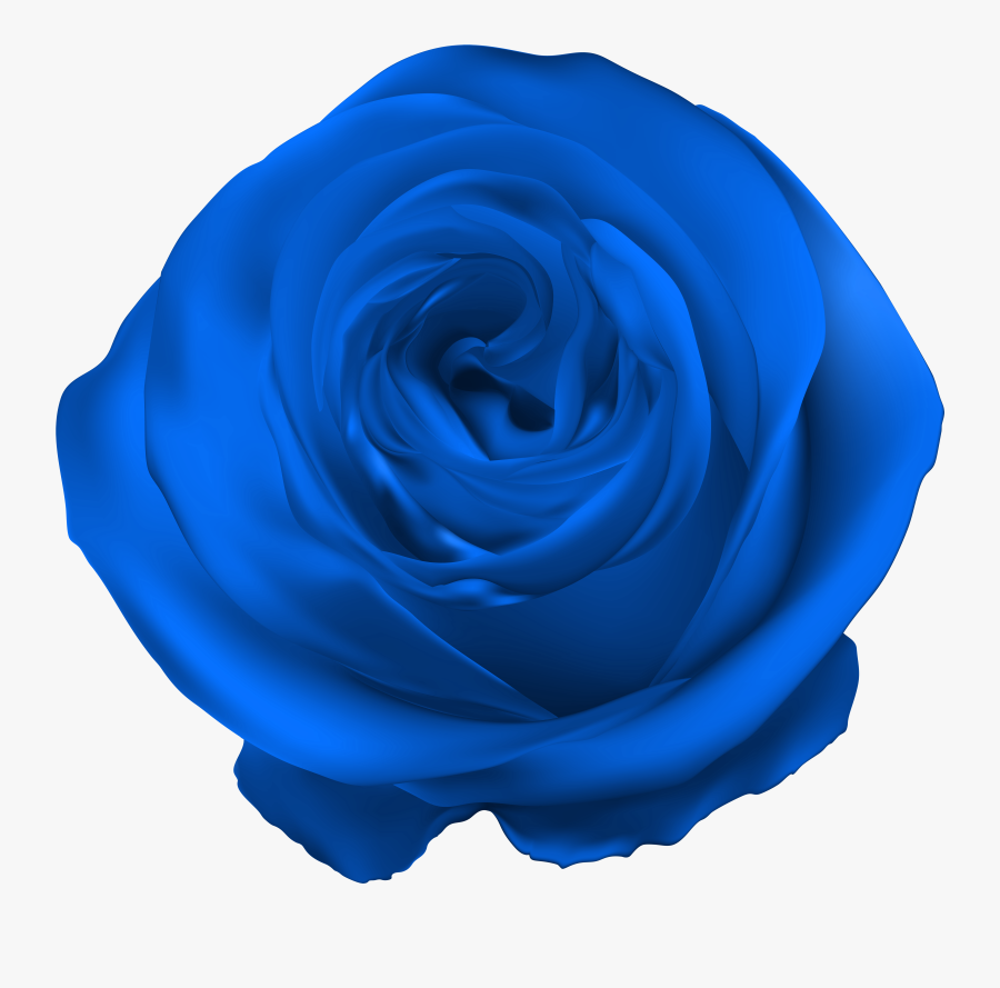 Blue Rose Png Clip Artu200b Gallery Yopriceville, Transparent Clipart