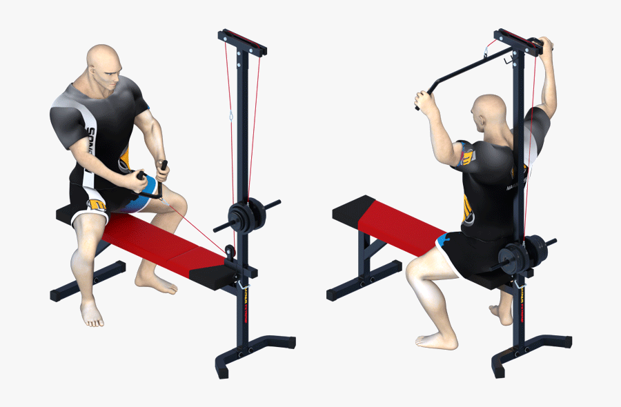 Pulley Exercises For A Stronger Back And Arms - Strength Training, Transparent Clipart