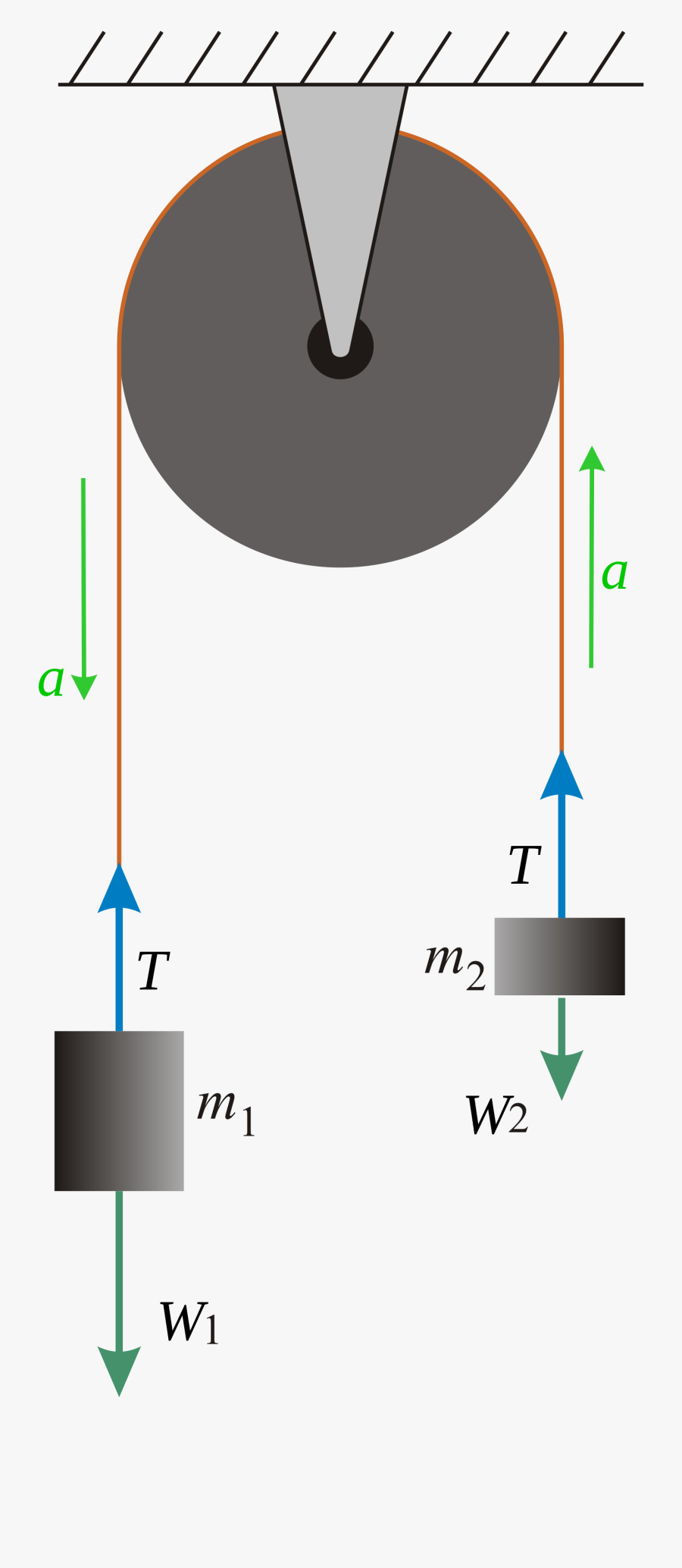 The Free Body Diagrams Of The Two Hanging Masses Of - Atwood Machine, Transparent Clipart
