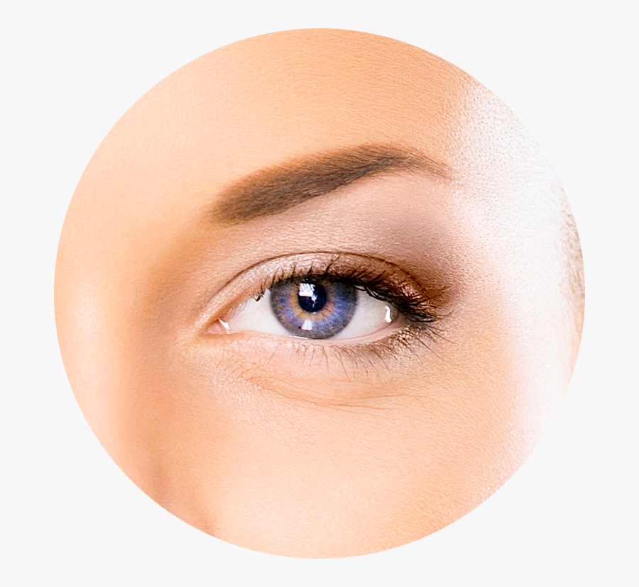 Diagram Of The Eye Transparent Background - Eye, Transparent Clipart