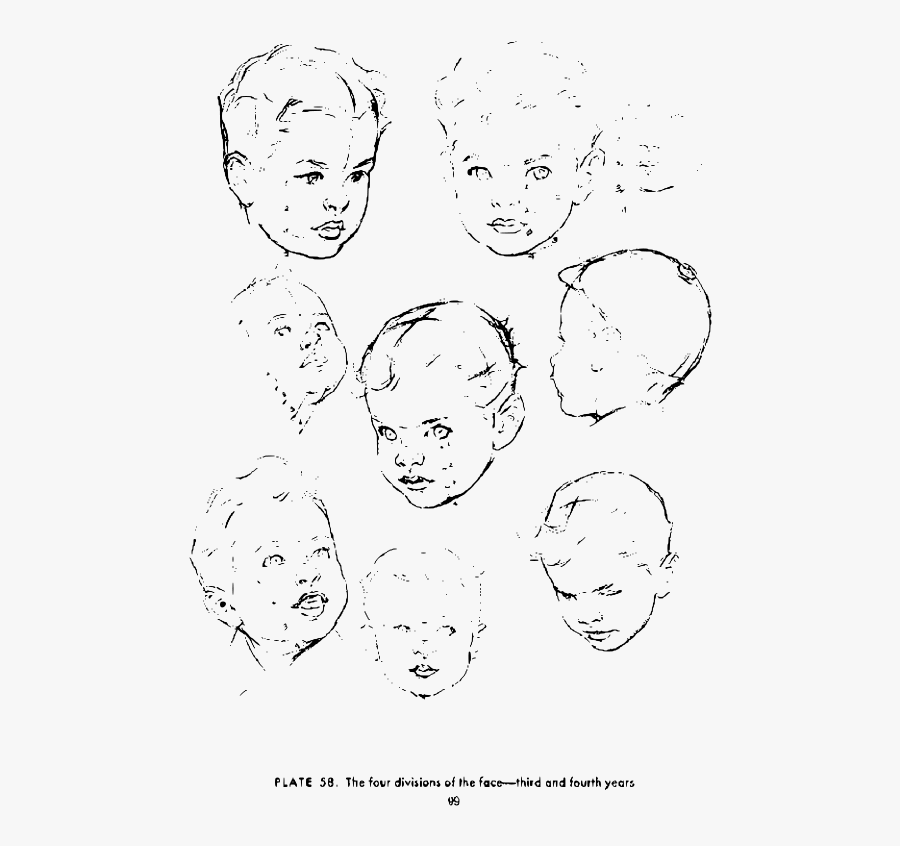 Andrew Loomis Drawing The Head And Hands 90 - Baby Face Profile Sketch, Transparent Clipart