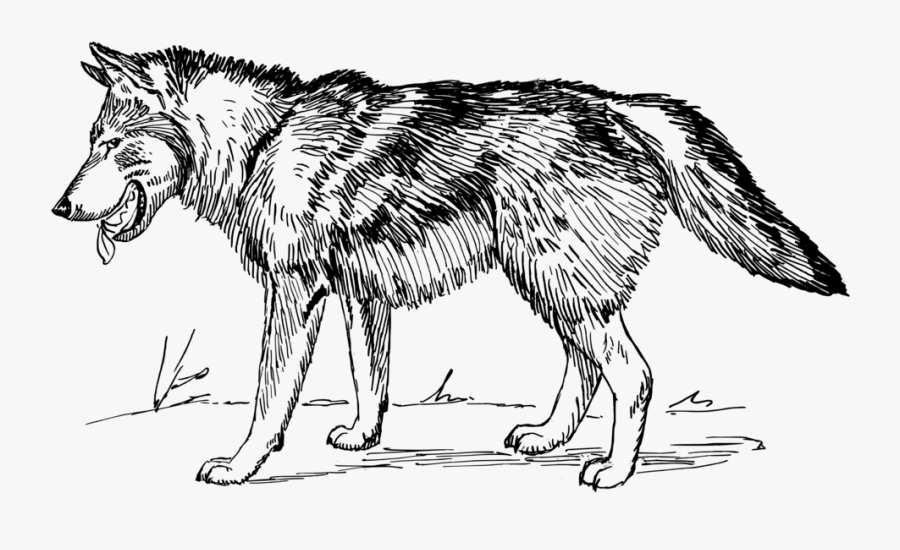 Wolf 2 - Black And White Wolf Clip Art, Transparent Clipart