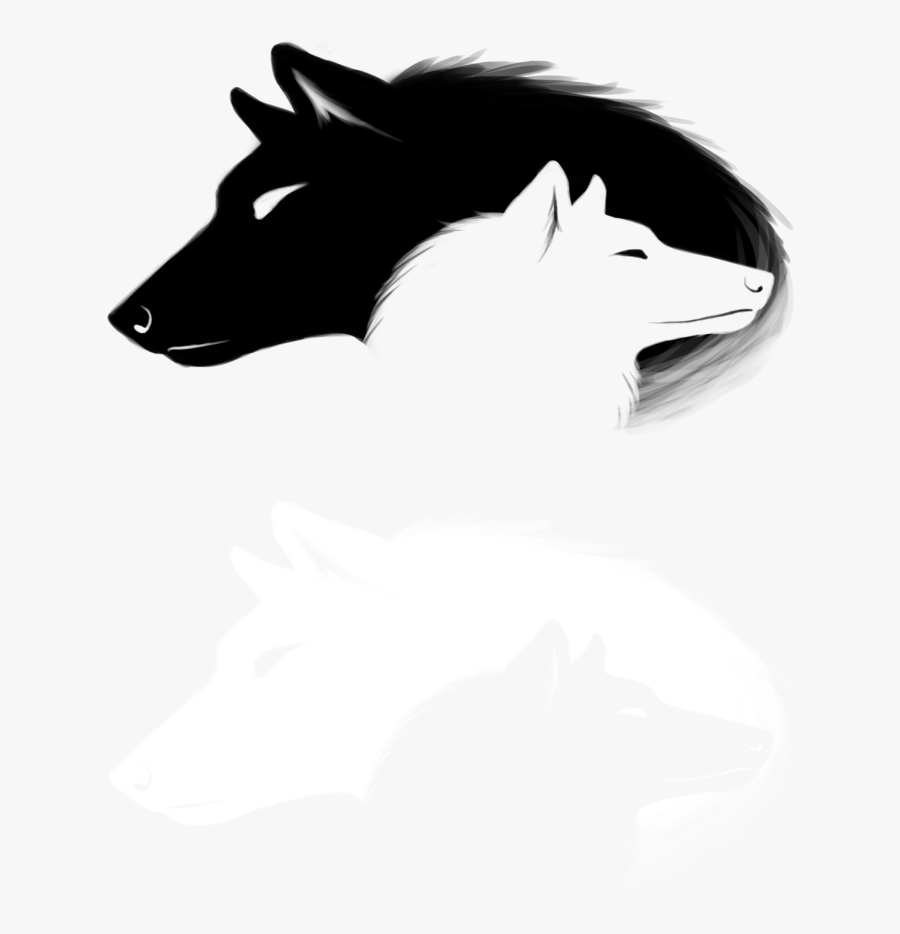 Boar, Transparent Clipart