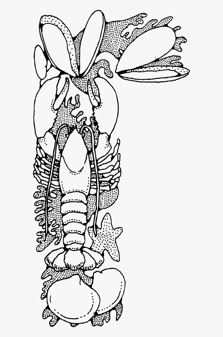 Shellfish Lobster Clams Free Picture - Seafood Clip Art, Transparent Clipart