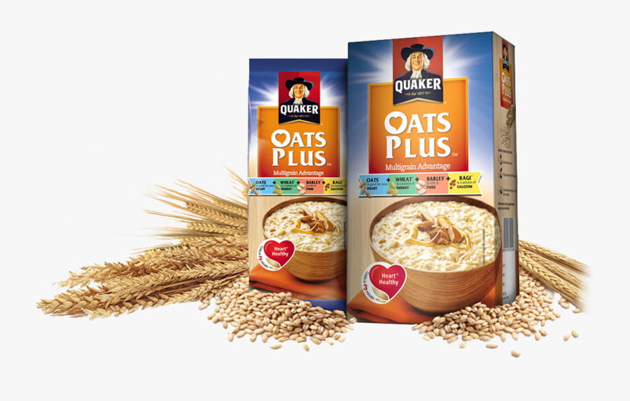 Oats Company, Transparent Clipart