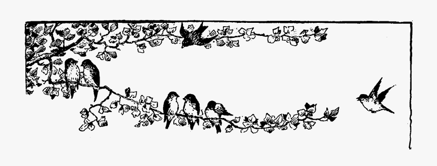 Digital Stamp Design - Bird Border Clipart Black And White, Transparent Clipart