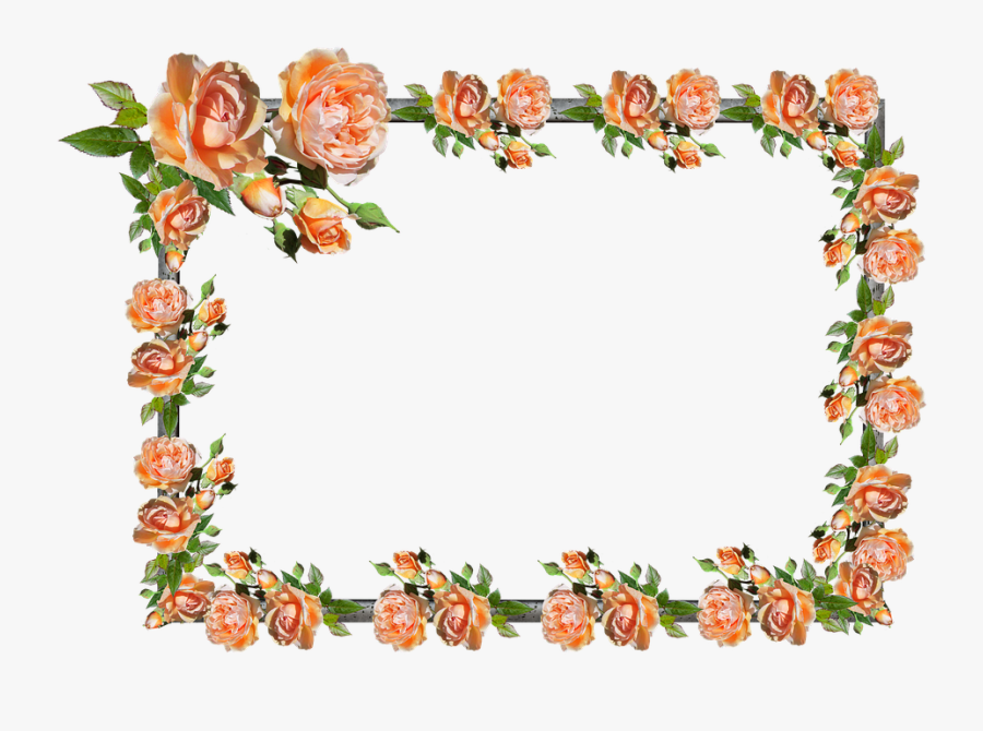 Frame, Border, Rose, Floral, Decoration - Picture Frame, Transparent Clipart
