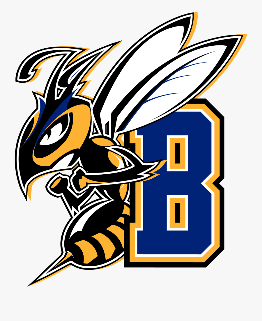 Transparent Yellow Jacket Mascot Clipart - Msu Billings Yellowjackets, Transparent Clipart