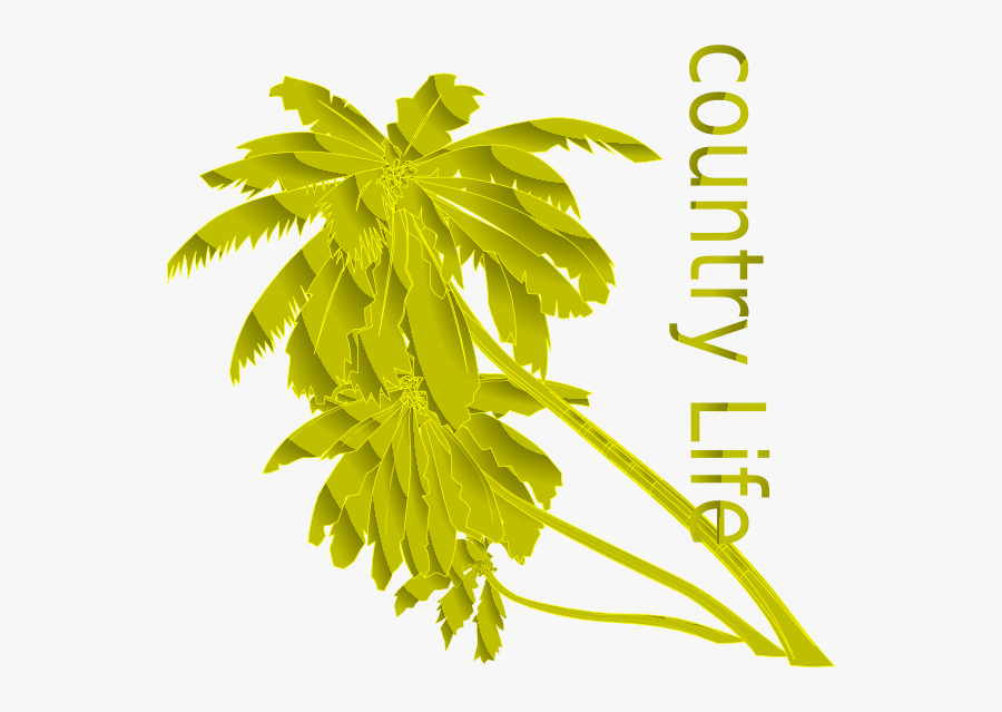 Animated Palm Tree Png, Transparent Clipart