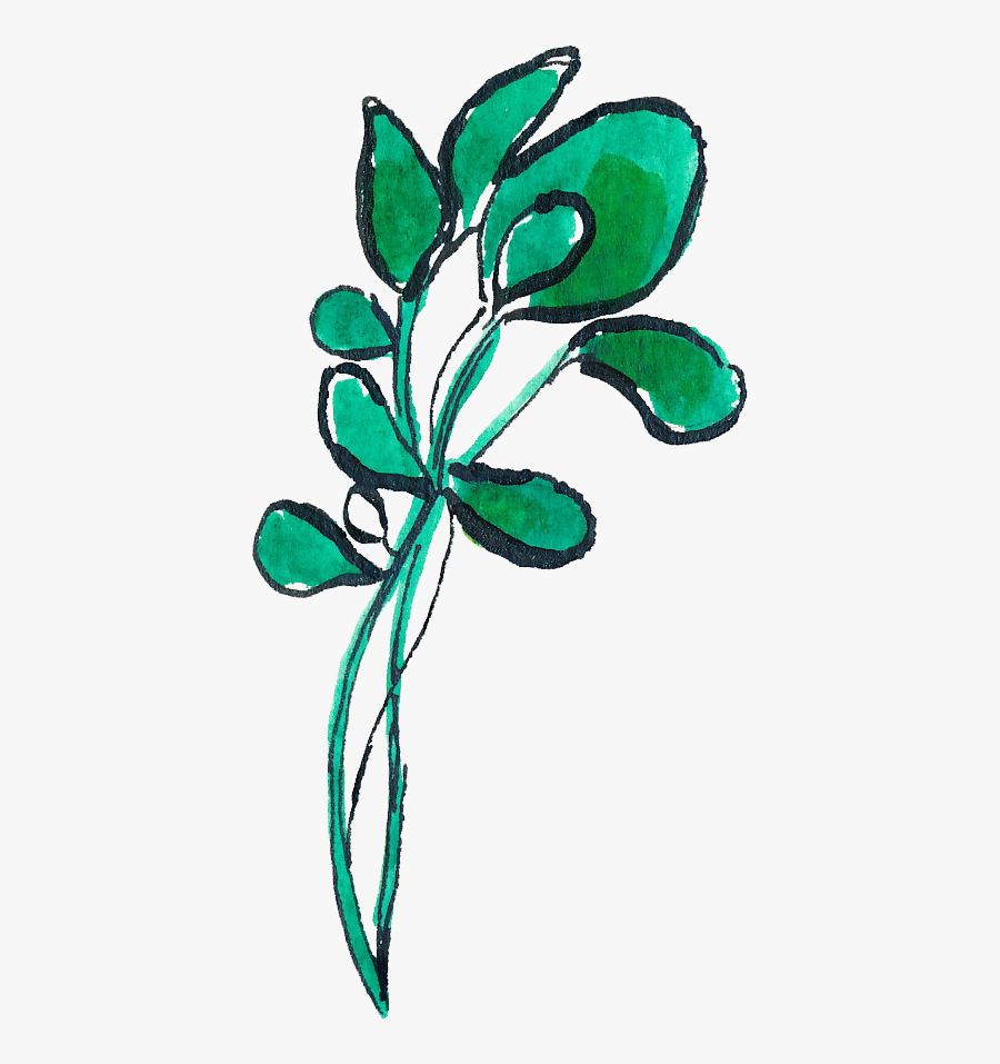 Montana Harvest Of The - Floral Design, Transparent Clipart