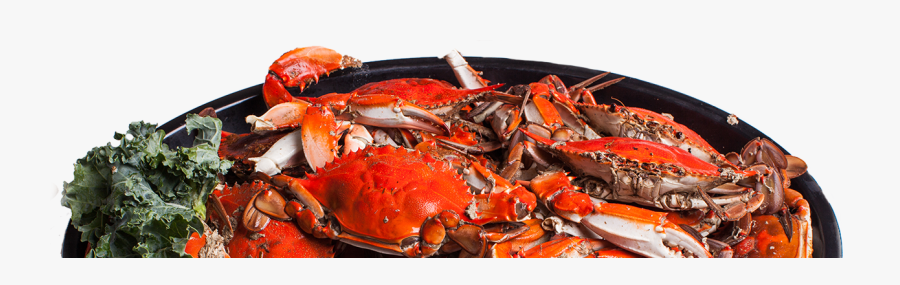 Dungeness Crab, Transparent Clipart