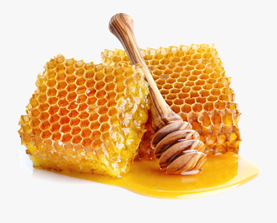 Honey Bee Honeycomb Sugar - Honey Natural, Transparent Clipart