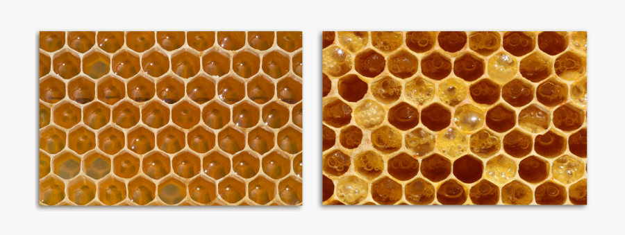 Honeycomb Spoon Png - Bee, Transparent Clipart