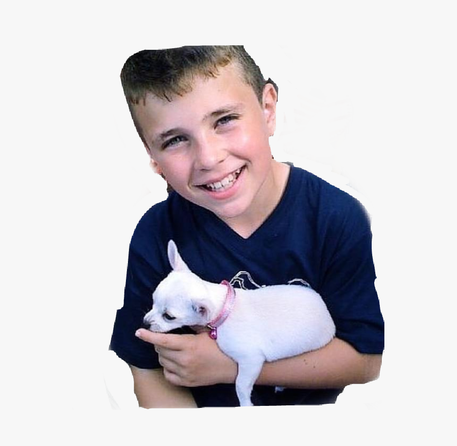 #roadtriptv #roadtrip #brooklyn #brooklynwyatt #mikey - Companion Dog, Transparent Clipart