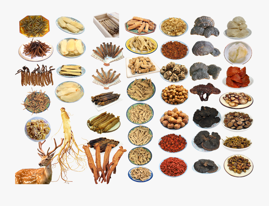 Chinese Food Ingredients Png Image - Ginseng, Transparent Clipart