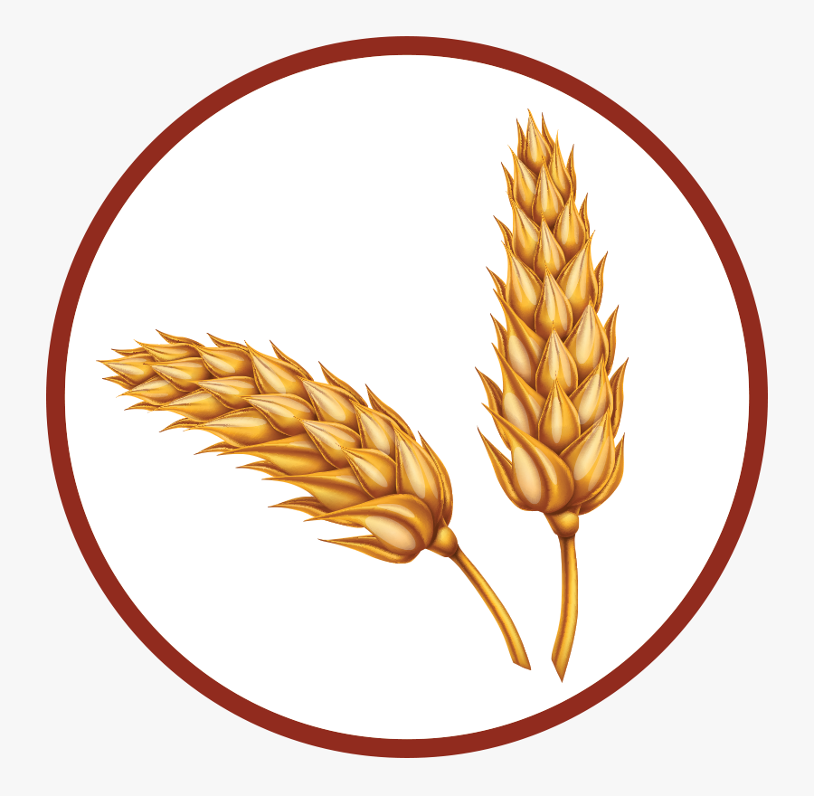 How To Make Bourbon Ingredients Rye - Stanford Memorial Church, Transparent Clipart