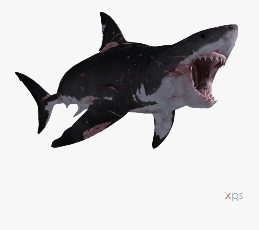 Transparent Great White Shark Clipart - Megalodon Shark Transparent Background, Transparent Clipart