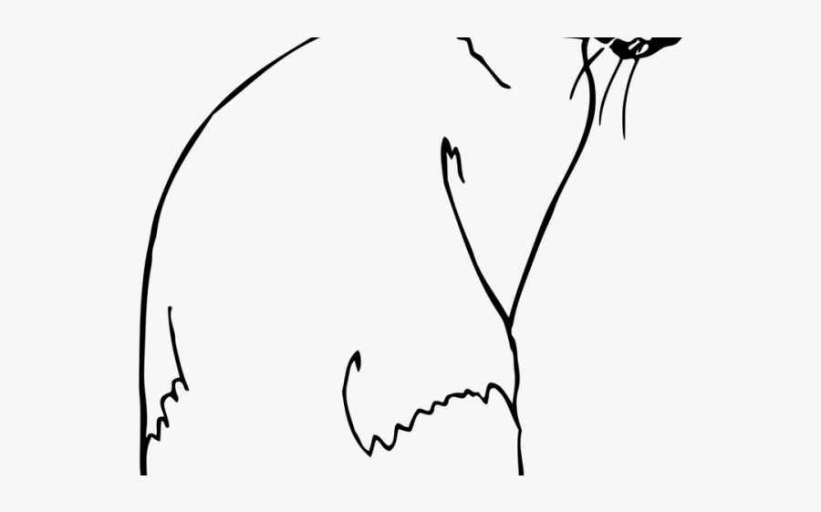 Siamese Cat Clipart Black And White - Line Art, Transparent Clipart