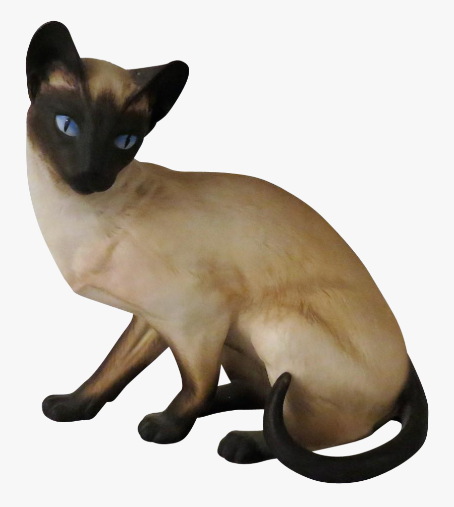 924 X 924 0 - Siamese Cat Transparent Background, Transparent Clipart