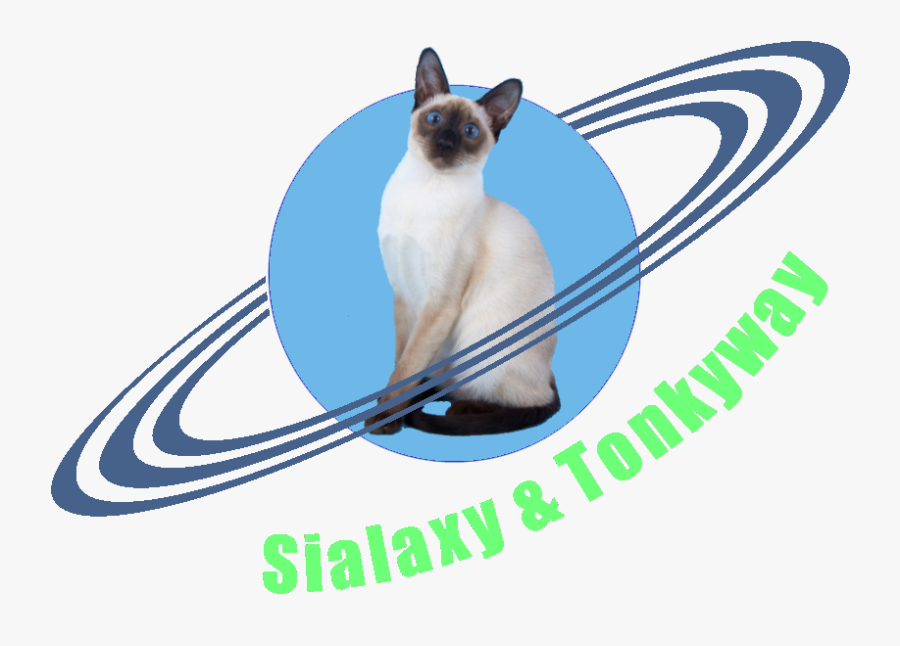 Transparent Siamese Cat Png - Planet With Rings Drawing, Transparent Clipart