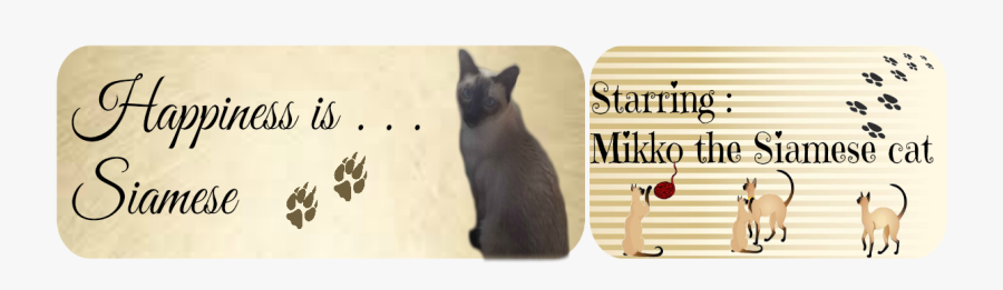 Siamese ❀ - Siamese - Siamese, Transparent Clipart