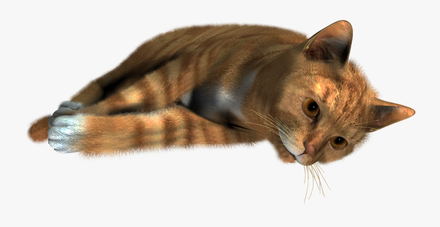 Siamese Cat Kitten - Transparent Background Cat Png Transparent, Transparent Clipart