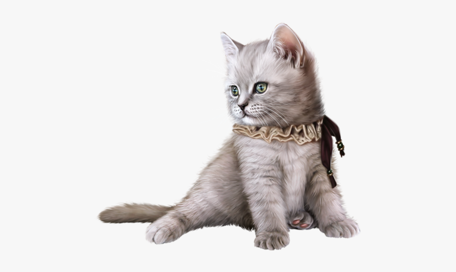 Котики Пнг, Transparent Clipart