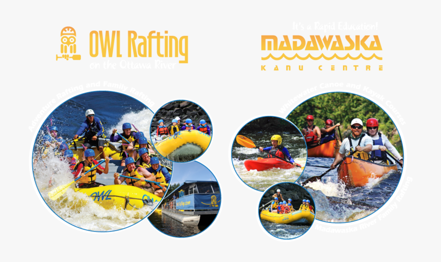 Owl Rafting Ottawa, Transparent Clipart