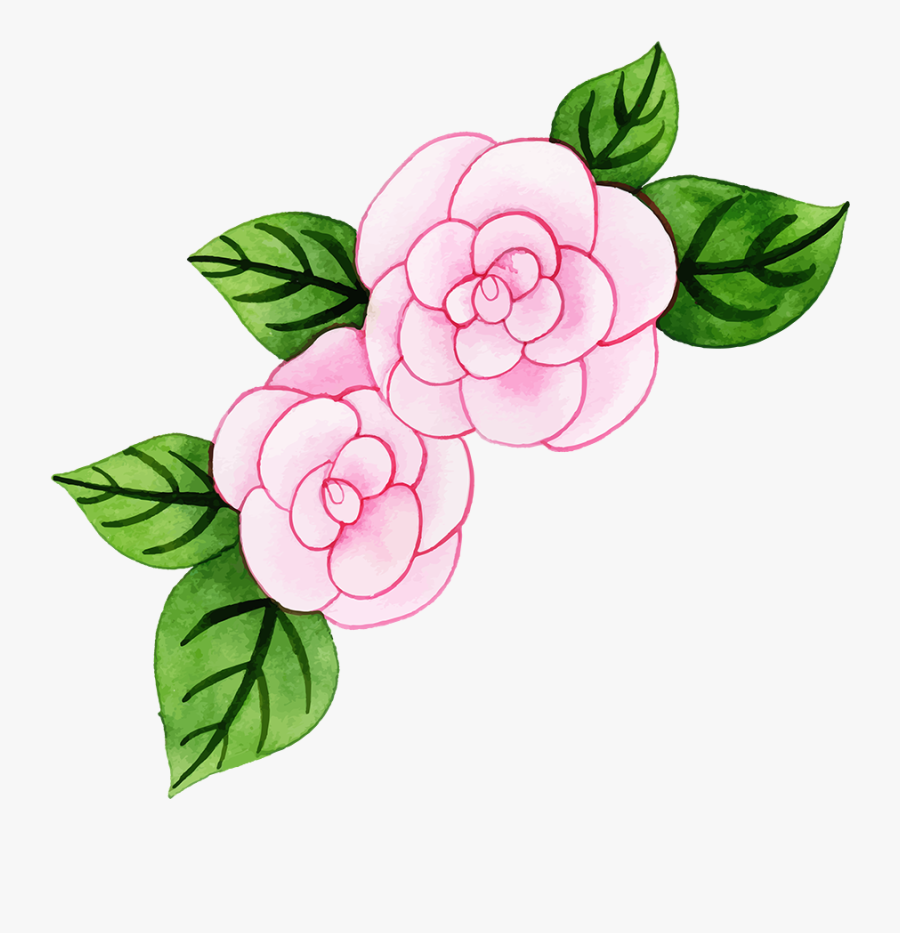 Garden Roses, Transparent Clipart