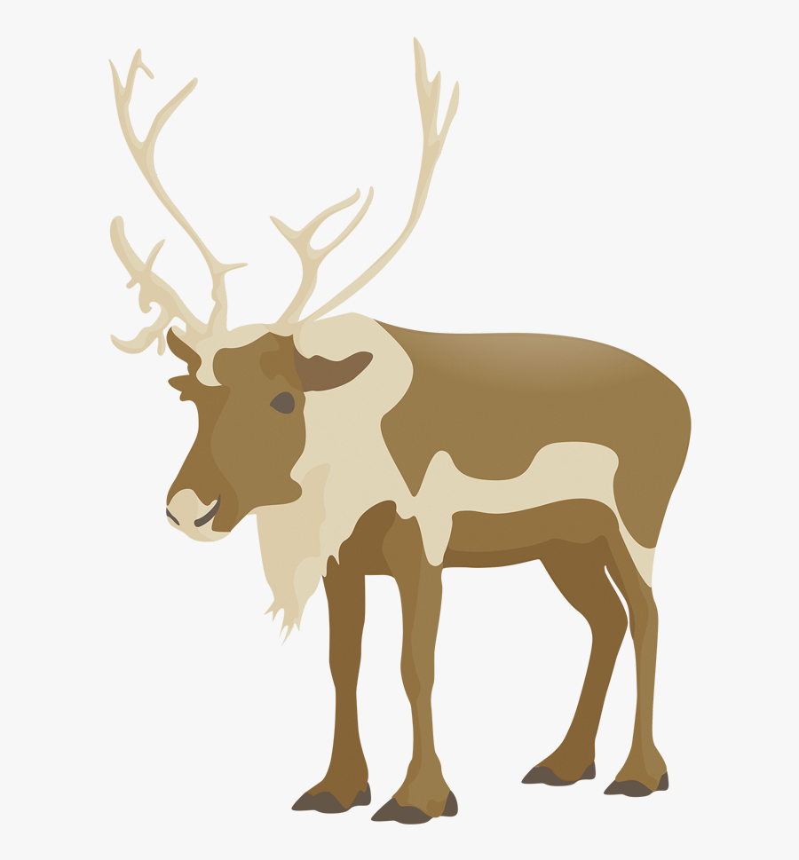 Flat Deer Vector - Elk, Transparent Clipart